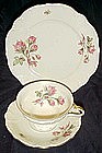 Edelstein Moss Rose fine china, cup saucer