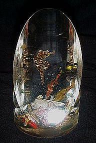 Vintage collectible lucite paperweight,seahorse/ shells