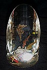 Vintage collectible lucite paperweight,seahorse/ shells