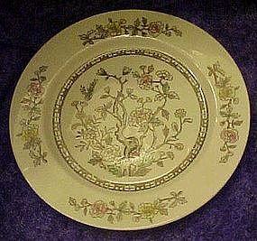 Japan Indiam tree dinner plate