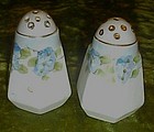 Antique hand painted china salt and pepper shakers