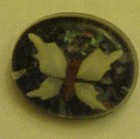 Vintage lucite pin with seashell butterfly and abalone