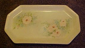 Old Schirnding Bavairia Hand painted floral tray 2830