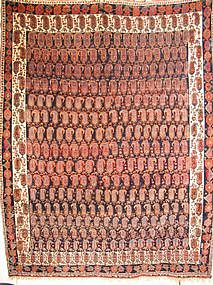 Exceptional Antique Afshar Carpet