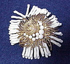 Cadoro sea shell,pearl and white coral brooch / pin