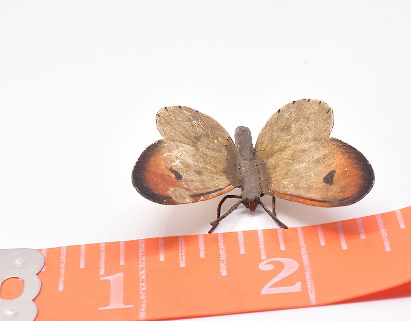 C1880 butterfly AUSTRIAN BRONZE