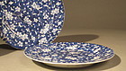 Pr Japanese Blue White Porcelain Hawthorne Motif Dishes