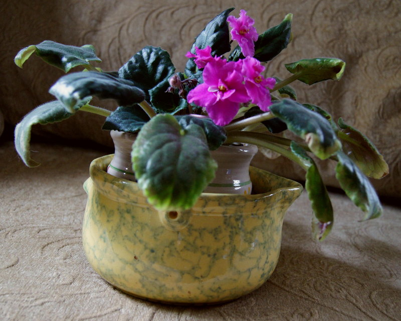 C1920 Spongeware Ohio Yellowware Blue Batter Bowl