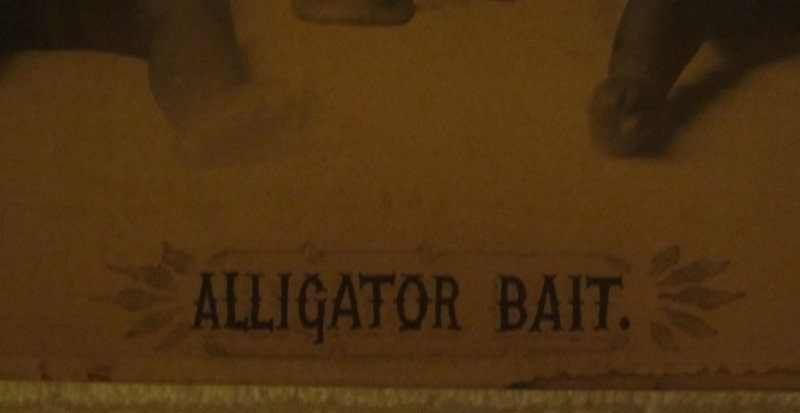 1897 Racist Lithograph ALLIGATOR BAIT McCrary + Branson