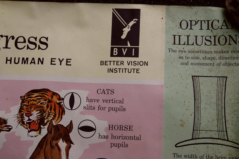 Colorful 1956 Eye Vision Ophthalmology Optometry Chart DoubleSided