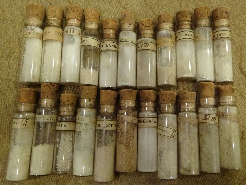 Scarce Late 19thC Homeopathic Medicine Bottles Pharmacy Vials - Lot #2