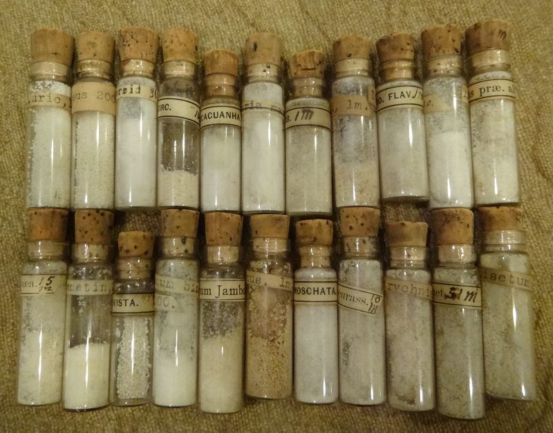 Scarce Late 19thC Homeopathic Medicine Bottles Pharmacy Vials - Lot #2