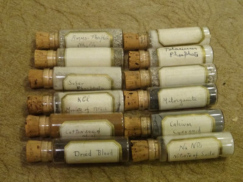 Choice Cased 19thC Homeopathic Medicine Pharmacy Vial Bottles