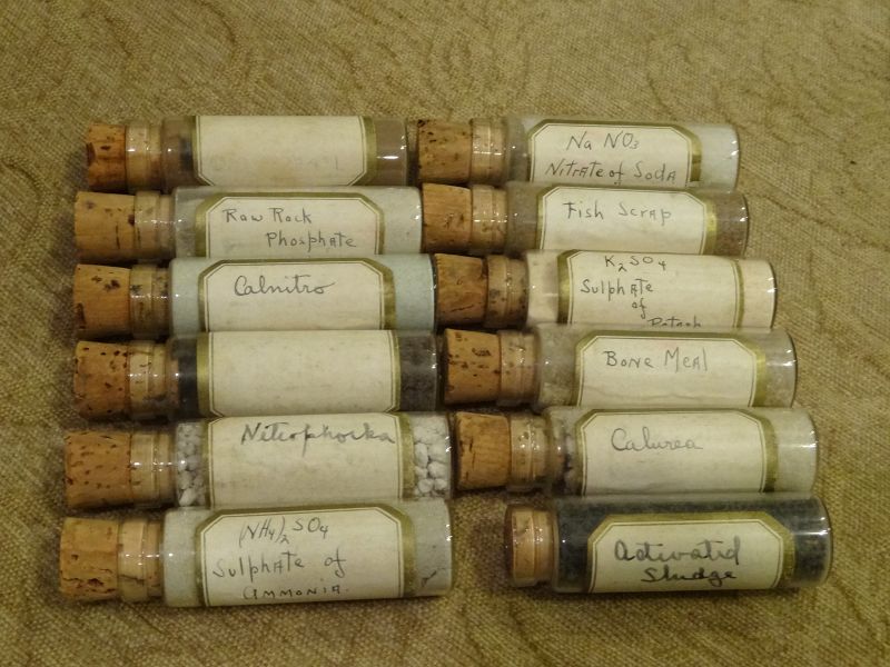 Choice Cased 19thC Homeopathic Medicine Pharmacy Vial Bottles