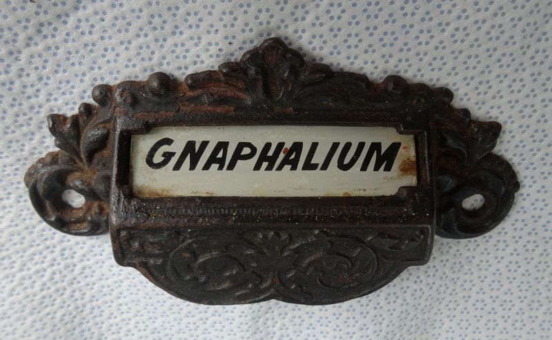 6 Fabulous Victorian Label Under Glass Apothecary Cabinet Drawer Pulls