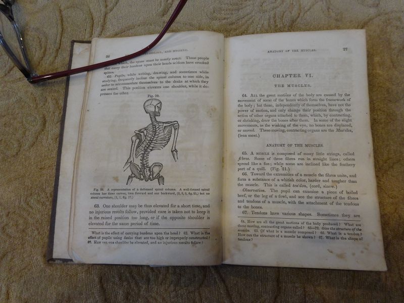 1854 First Book of Anatomy Physiology Hygiene Dr Calvin Cutter BOSTON