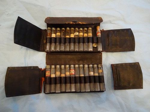 19thC Doctor Homeopathic Tablet Medicine Case No. 1 Parke Davis Co