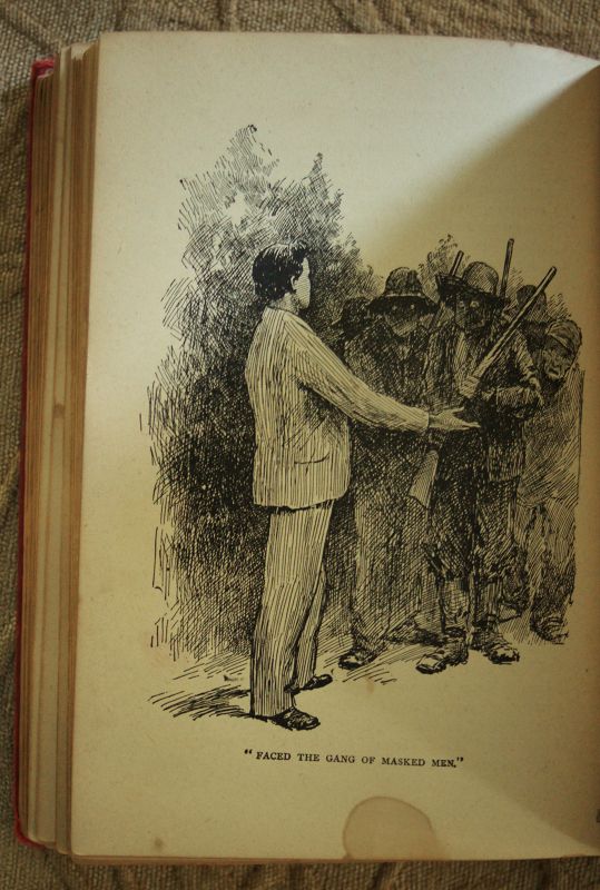1894 Book Samantha Among Colored Folks - My Ideas On The Race Problem