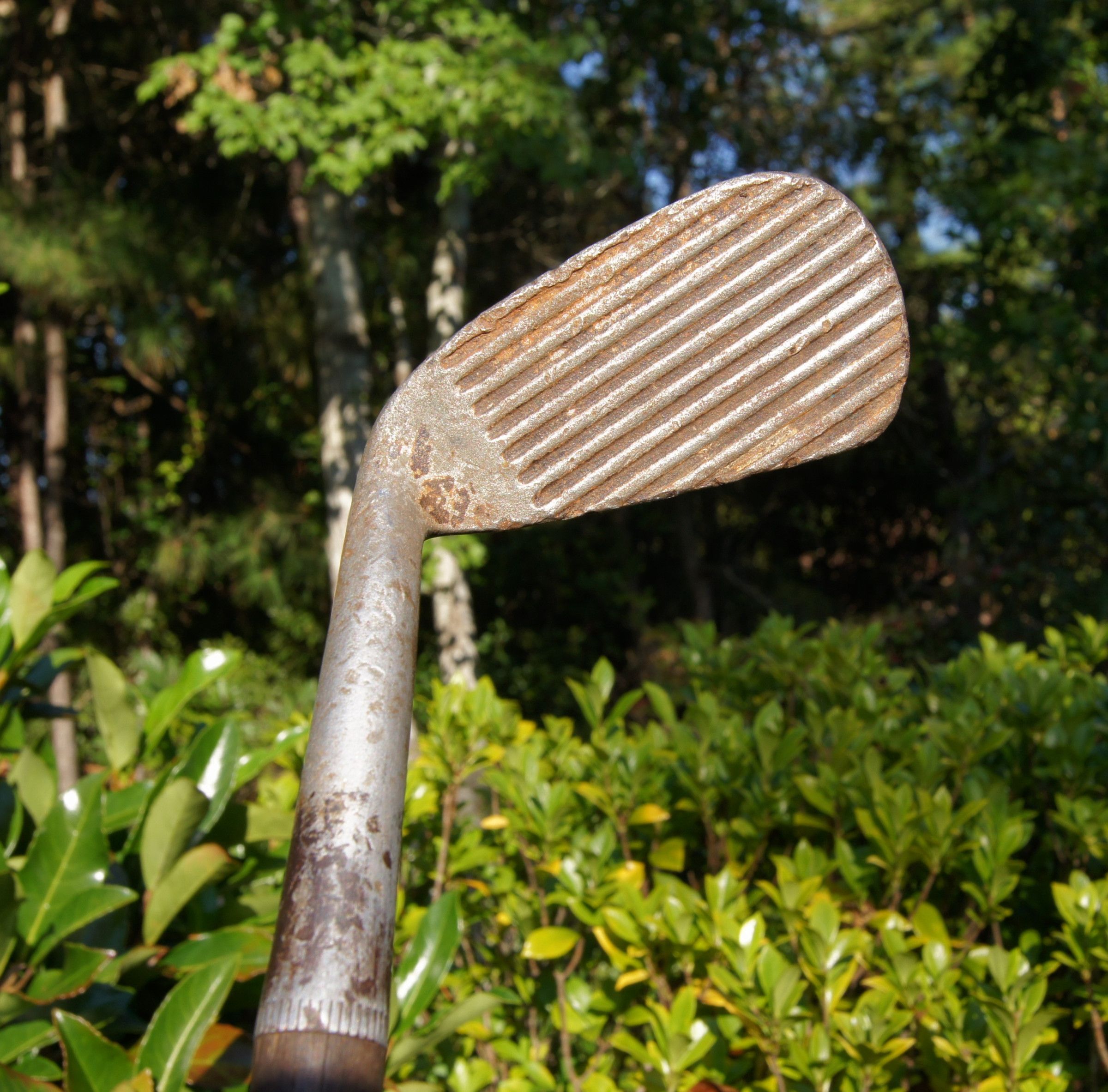 C1915 Spalding Deep Groove Mashie Hickory Shaft Golf Club DEDSTOP