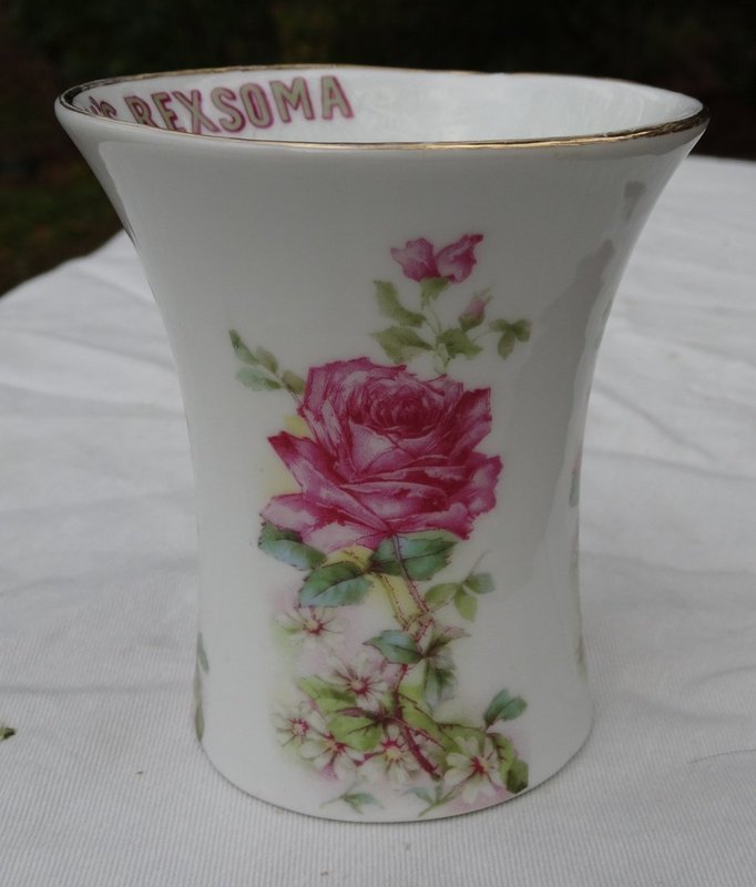 Apothecary Pharmacy Medical Advertising Cup REXOMA
