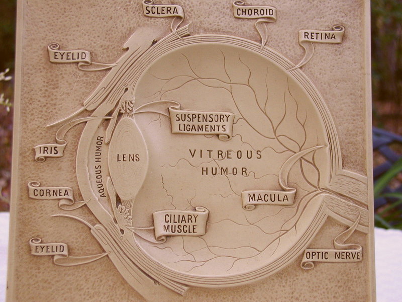 1950s Bausch &amp; Lomb EYE Ophthalmology Graphic Display Advertisement