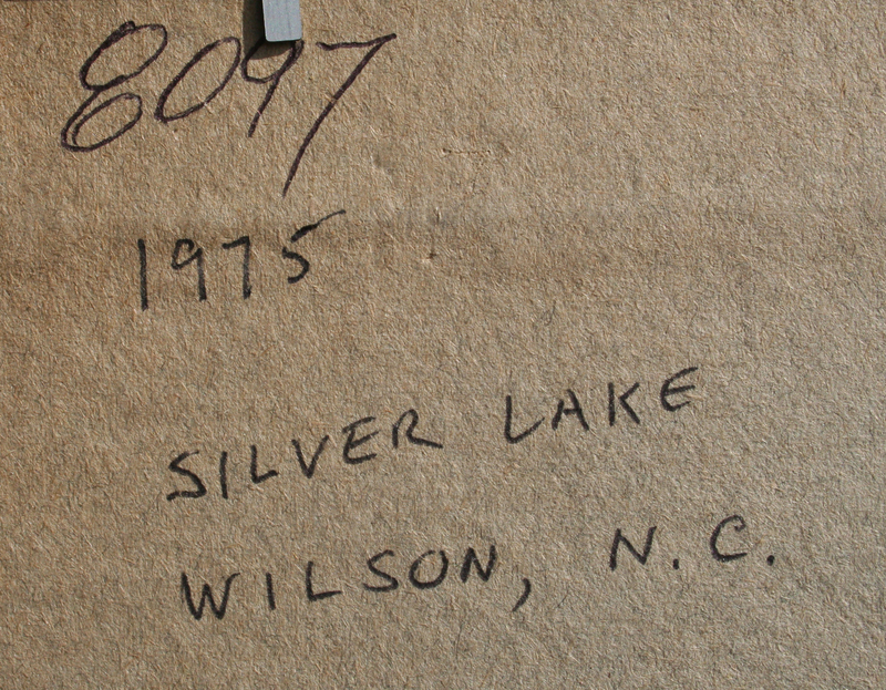Silver Lake, Wilson, NC by  James Francis O’Brien