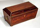 Fine English Regency Tea Chest