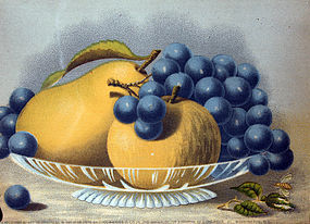 A Lithograph by C.H. Crosby & Co., 1874