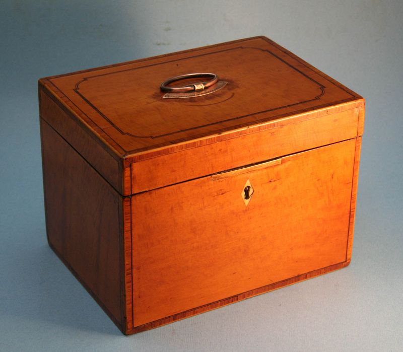 Sheraton Satinwood Tea Caddy