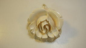 An Old Large Size Chinese Ivory Flower Pendant