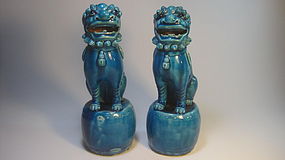 Beautiful Pair of 19th C. Chinese Porcelain Fu Dogs