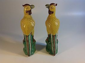 A Pair Of 19th C. Chinese Famille Rose Parrots
