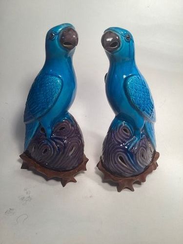 19/20th C. Pair of Chinese Export Turquoise Parrots With Wood Stand