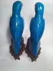 19/20th C. Pair of Chinese Export Turquoise Parrots With Wood Stand