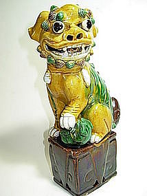 A 19th C. Chinese sancai lion / three color fudog lion