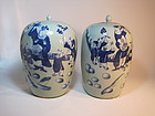 Pair of Mid 19th C. Chinese Blue and White Jars