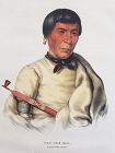 "Buffalo" a Chippewa Chief Lithograph Portrait by McKenney
