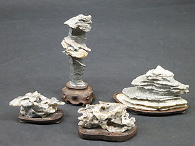 Four small Scholars Rocks