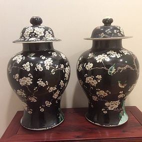 A pair of Famille noire enameled porcelain cover jars