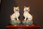 Pair of Chinese antiqee cloisonné circular box with cat lids