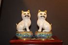 A pair of Chinese cloisonné cat decorated lidded boxes.