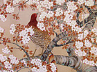 Antique Japanese Cherry Blossom Screen, Pheasant