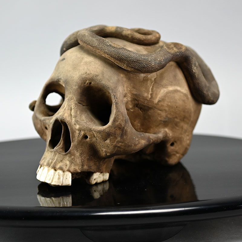 Nozarashi Skull and Snake Ceramic Okimono