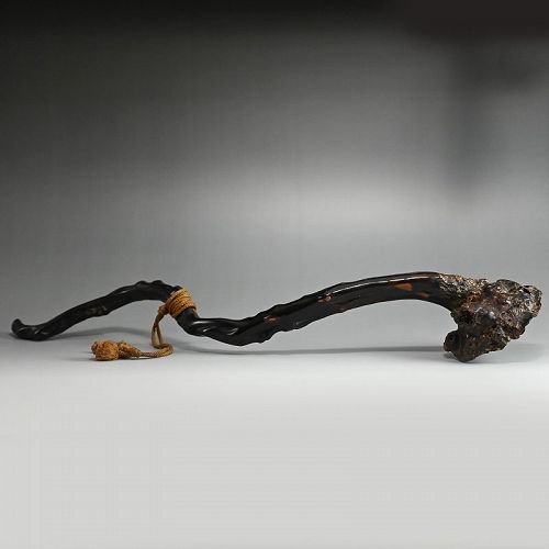Antique Japanese Umimatsu ‘Sea Pine’ Nyoi Scepter