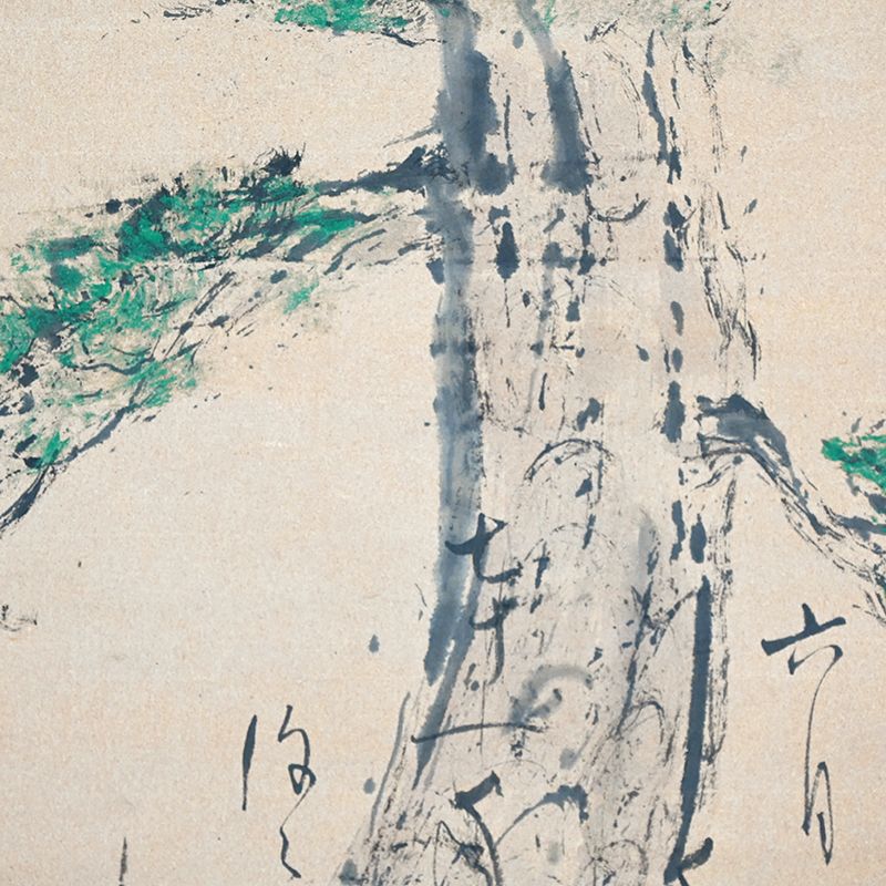 Philosophical Scroll Honouring Long Life, Shimizu Hian, Ancient Pine