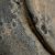 detail 11