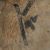 detail 10