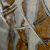 detail 6