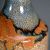 detail 7