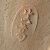 detail 9